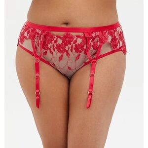 Torrid RASPBERRY PINK MESH GARTER BELT